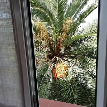 Tapias, Casa Don Juan Casa de Férias La Paz (Tenerife)